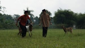 Daftar Aqiqah Bandung Harga Promo untuk Semua